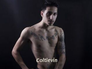 Coltlevin