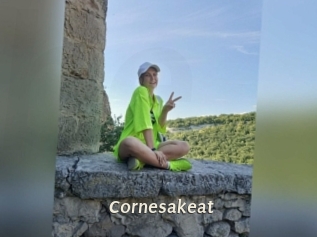 cornesakeat Blog éjac