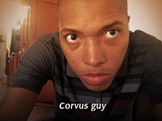 Corvus_guy
