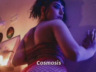 Cosmosis