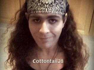 Cottontail28