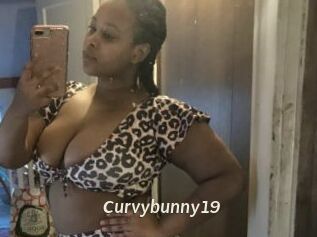 Curvybunny19