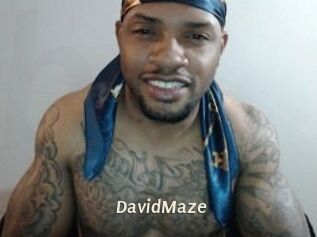 David_Maze