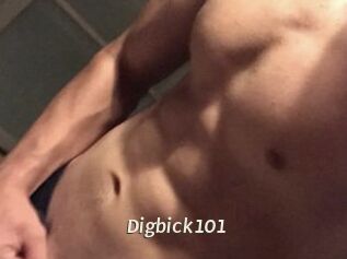 Digbick101