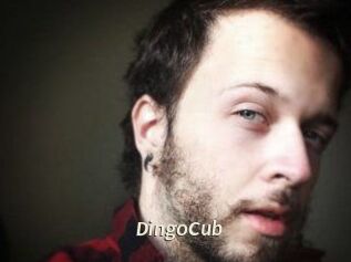 DingoCub