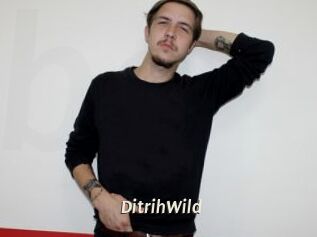DitrihWild