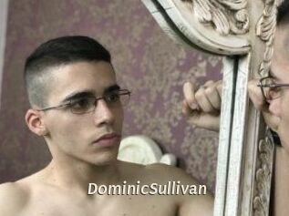 DominicSullivan