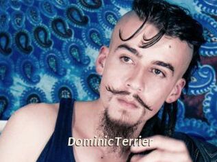 DominicTerrier