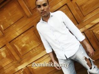 Dominikbunny