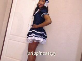 Drippincattyy