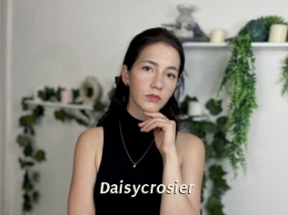 Daisycrosier