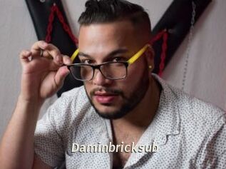 Daminbricksub