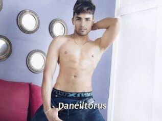 Daneil_torus