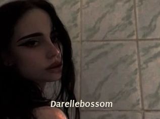 Darellebossom