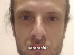 Darkrabbit