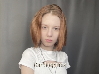 Darlinegrass