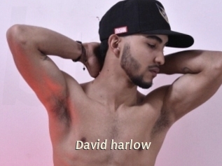 David_harlow