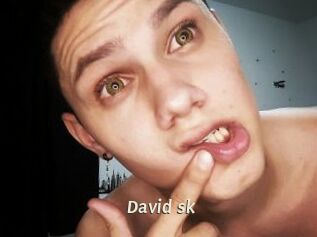 david_sk Blog éjac