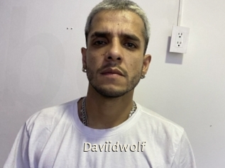 Daviidwolf
