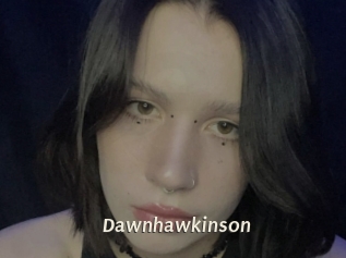 Dawnhawkinson
