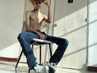 Dikey
