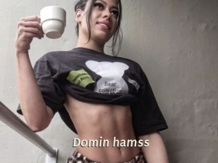 Domin_hamss