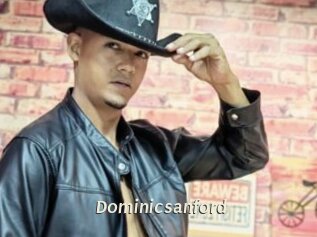 dominicsanford Blog éjac