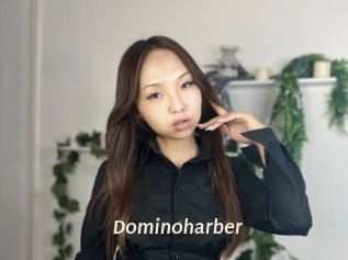 Dominoharber