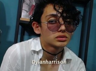 Dylanharrison