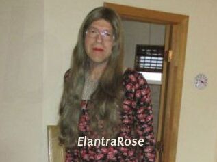 Elantra_Rose
