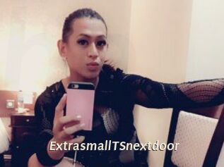 ExtrasmallTSnextdoor