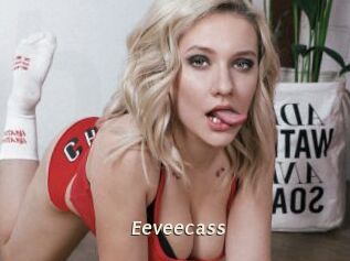 Eeveecass