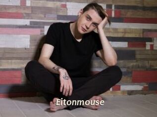 Eitonmouse