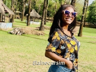 Elainecarsim