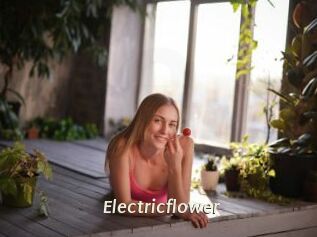Electricflower