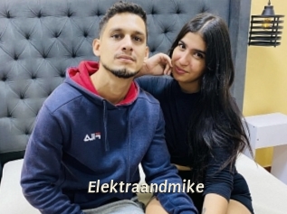 Elektraandmike