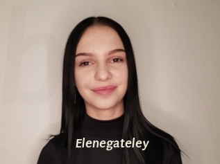 Elenegateley