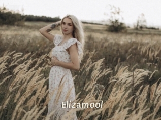 Elizamool