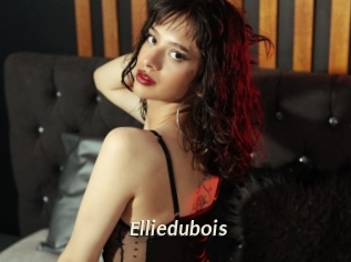 elliedubois Blog éjac