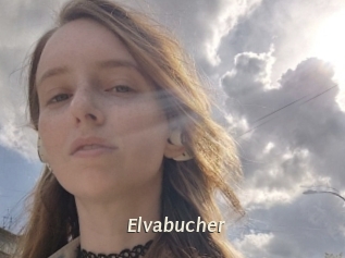 Elvabucher