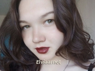 Elviaarnet