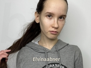 Elvinaabner