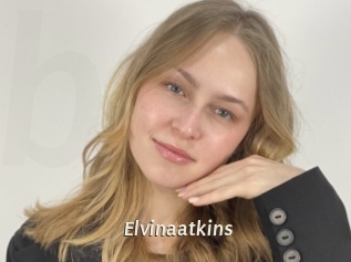 Elvinaatkins