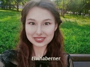 Elvinaberner