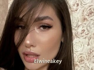 Elwineakey