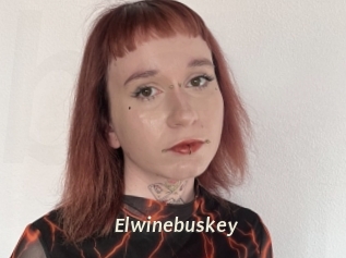 Elwinebuskey