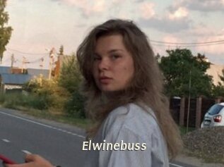 Elwinebuss