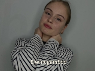 Elwinegambee