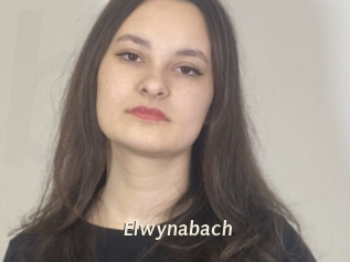 Elwynabach