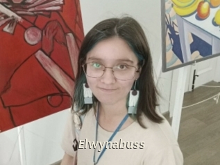 Elwynabuss